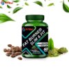 mehnoor supermarket FiTBal-Fat-Burner-Slim-Fit-–-Support-Weight-Loss-Supplement-with-Green-Tea-Burns-Excess-Body-Fat-–-60-Tablets-for-Men-Women-4